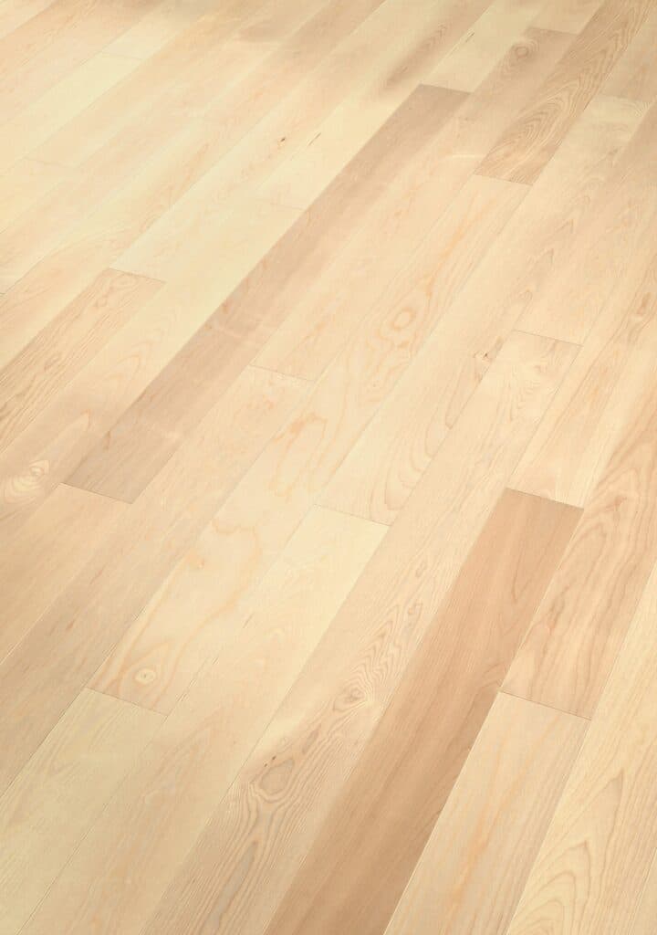 Aqsis Renderer, secs rendertime